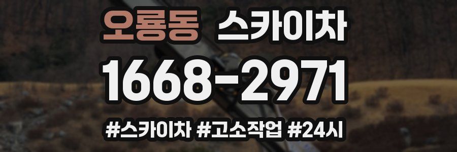 오룡동 스카이차