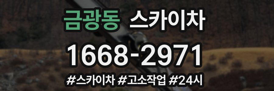 금광동 스카이차