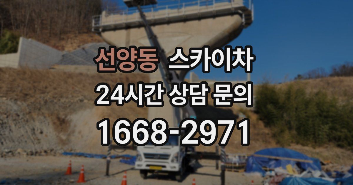 선양동 스카이차