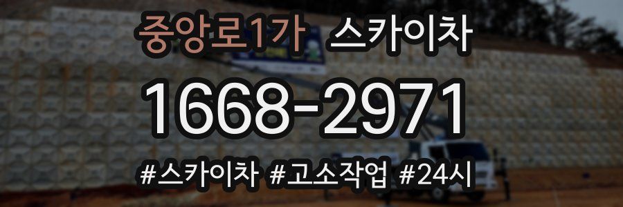 중앙로1가 스카이차