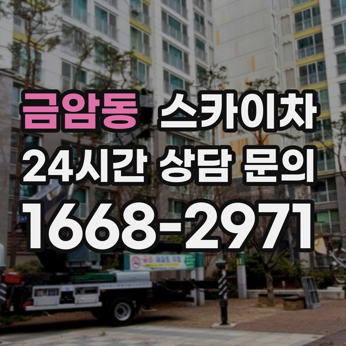 금암동 스카이차 현장 사진만으로도 작업 가능 여부 확인