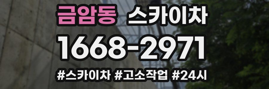 금암동 스카이차