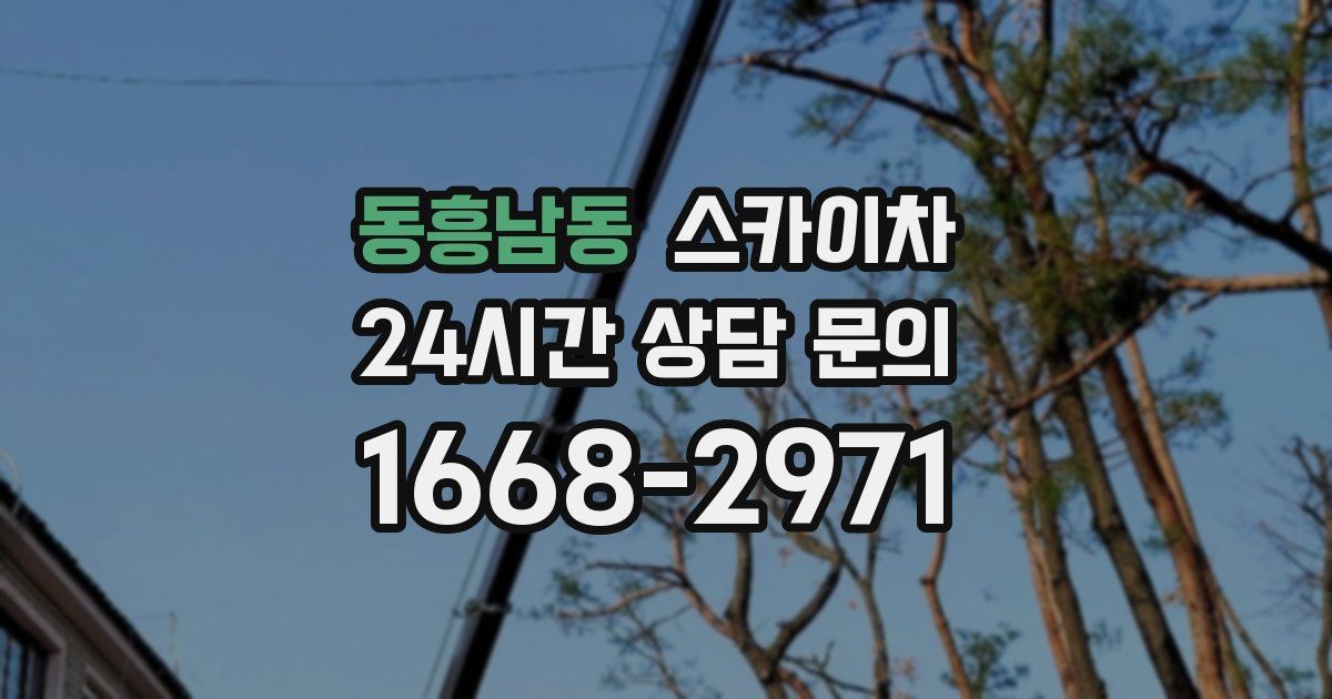 동흥남동 스카이차