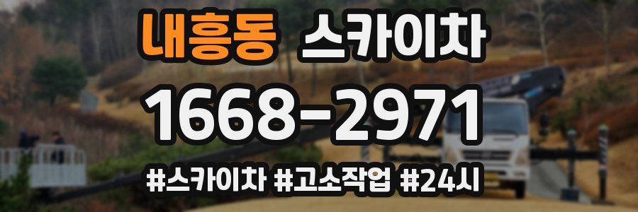 내흥동 스카이차