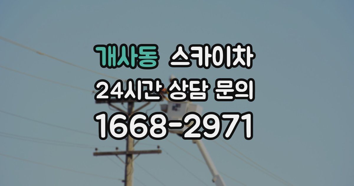 개사동 스카이차