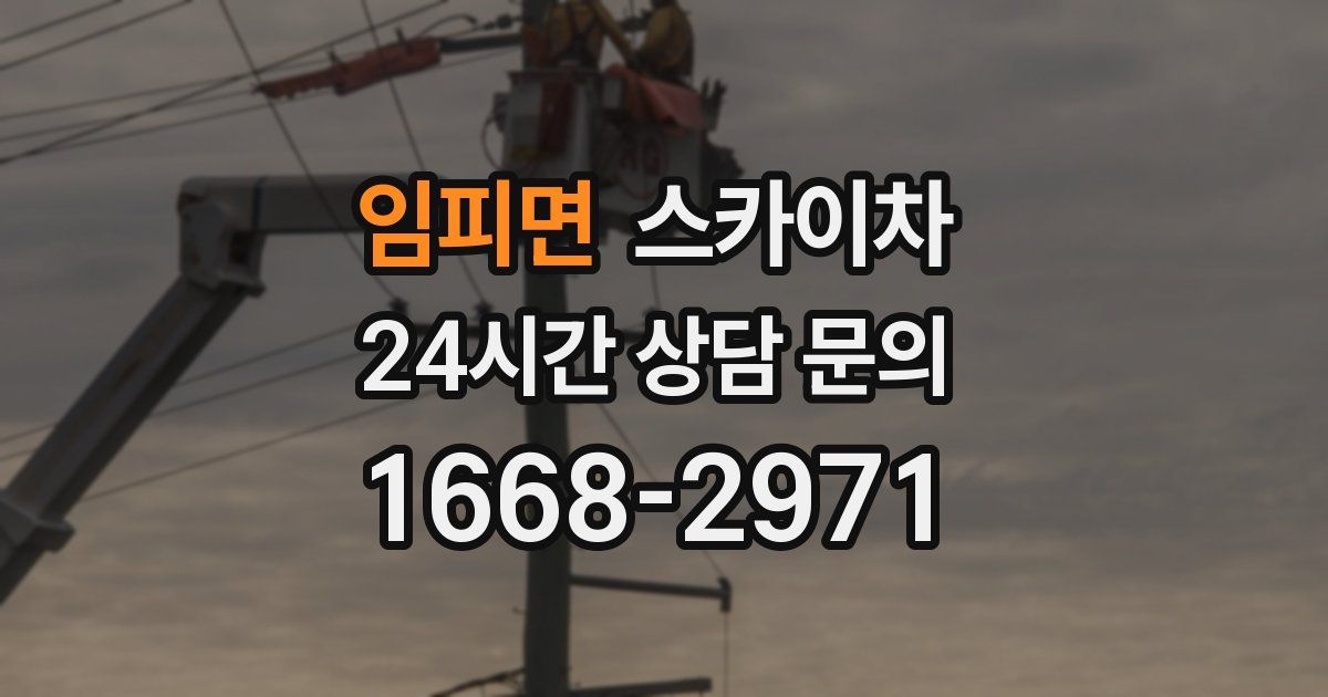 임피면 스카이차