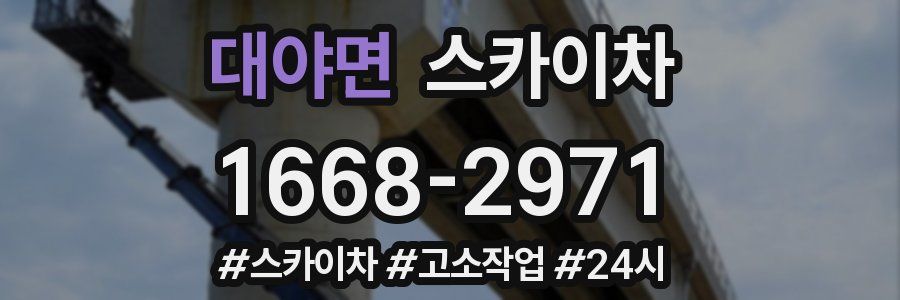 대야면 스카이차