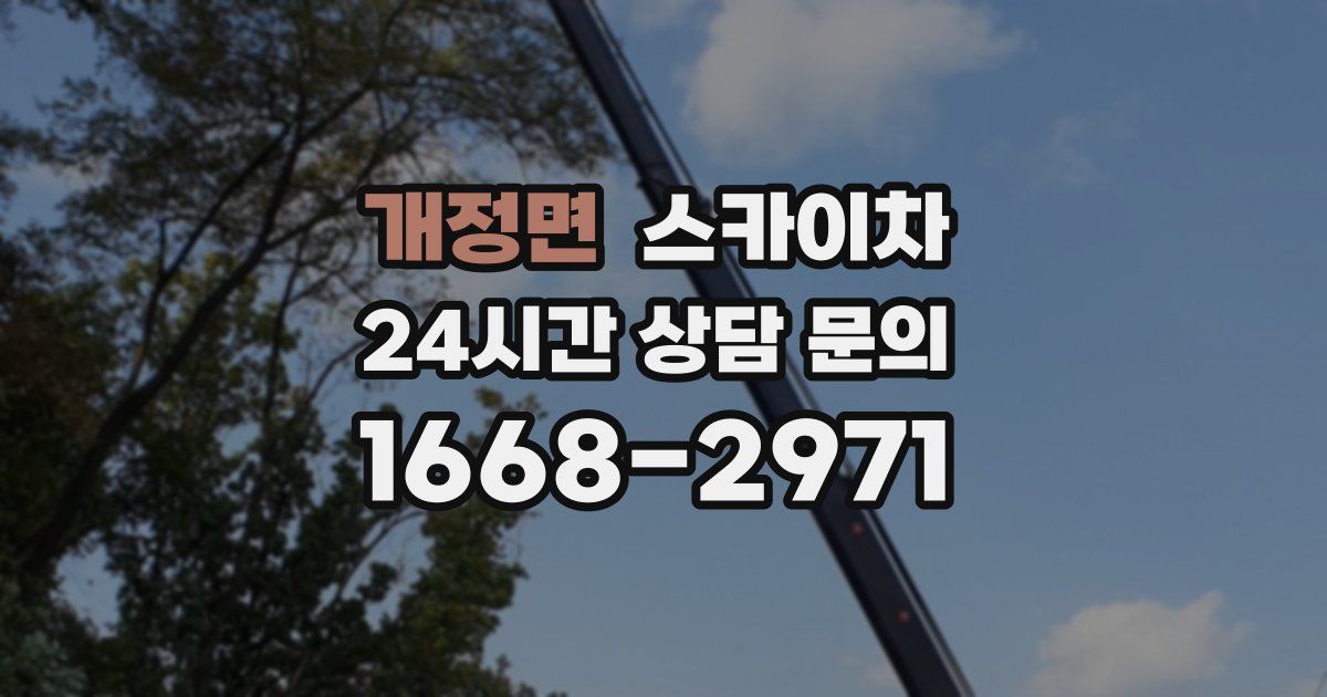 개정면 스카이차