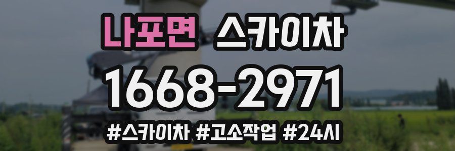 나포면 스카이차