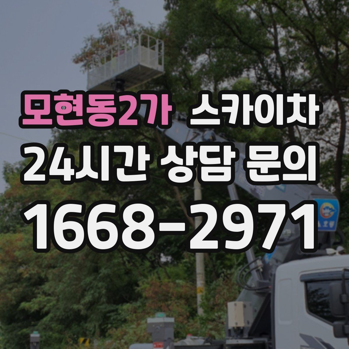 모현동2가 스카이차 외벽 곰팡이 흔적 청소와 보수