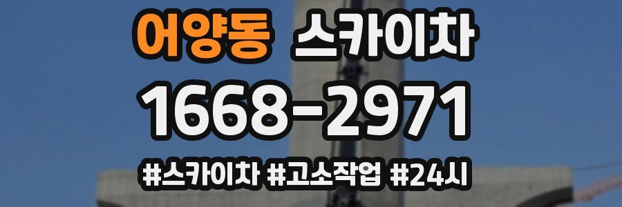 어양동 스카이차