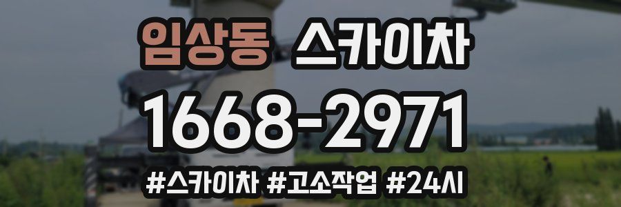 임상동 스카이차