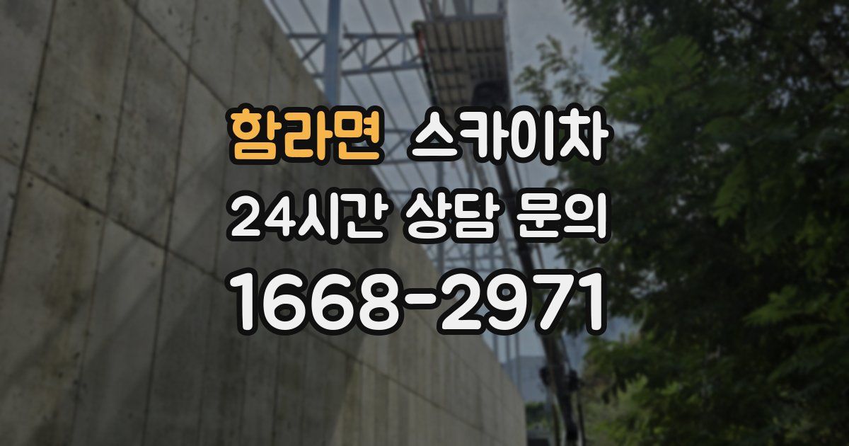 함라면 스카이차