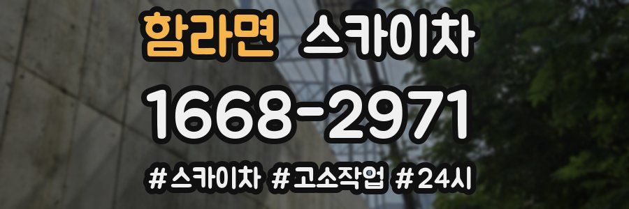 함라면 스카이차