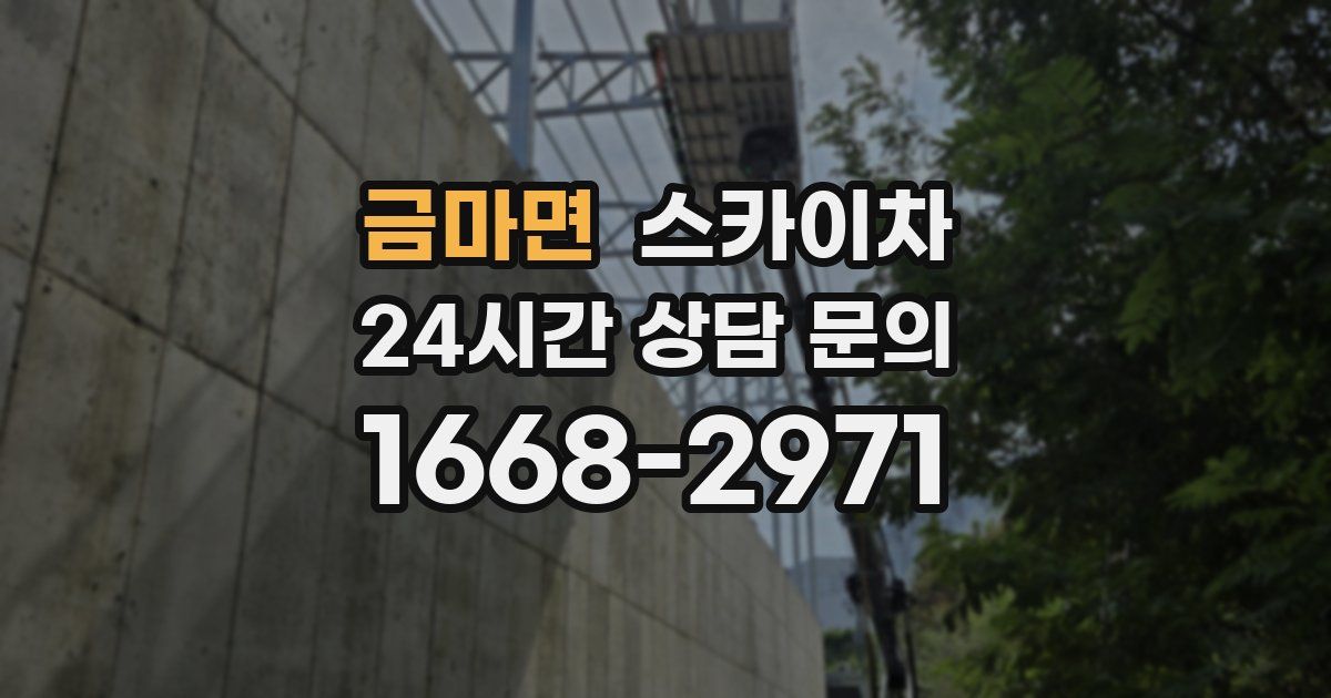 금마면 스카이차