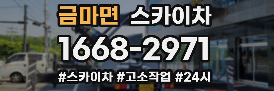 금마면 스카이차
