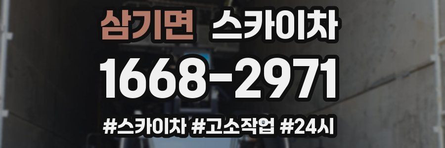 삼기면 스카이차