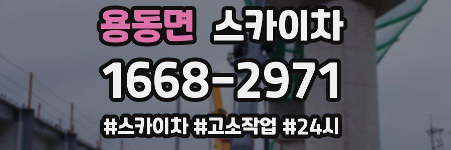 용동면 스카이차