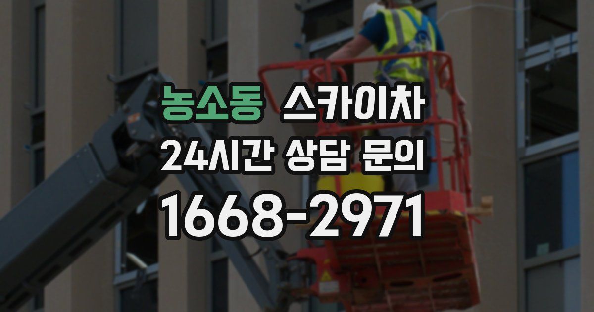 농소동 스카이차