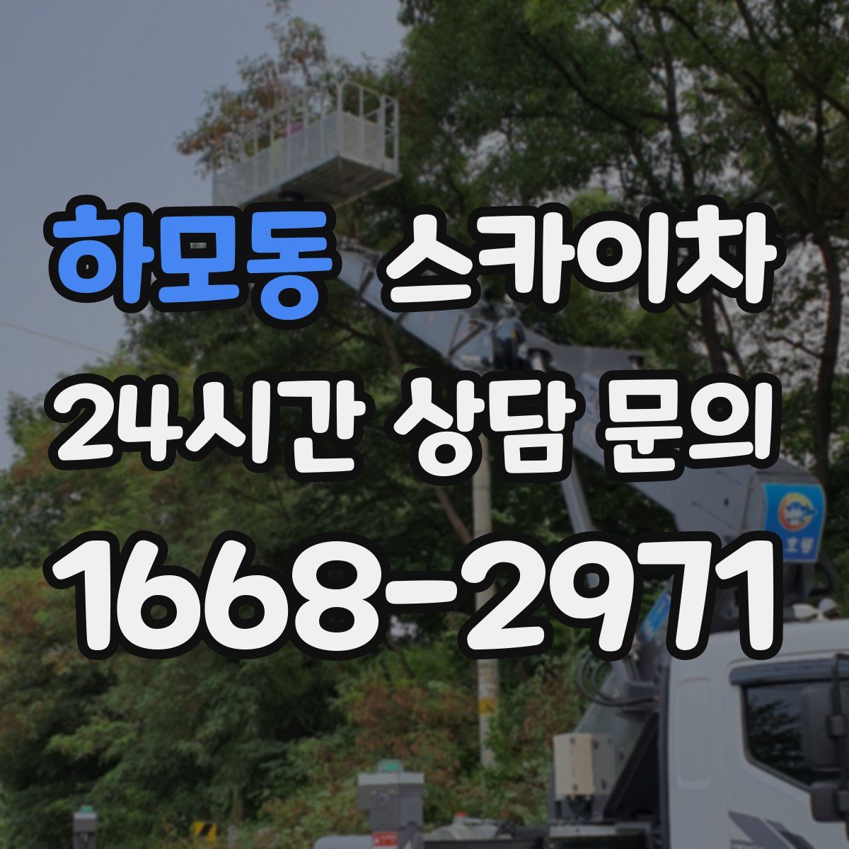 하모동 스카이차