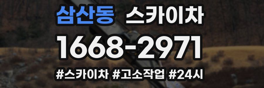 삼산동 스카이차