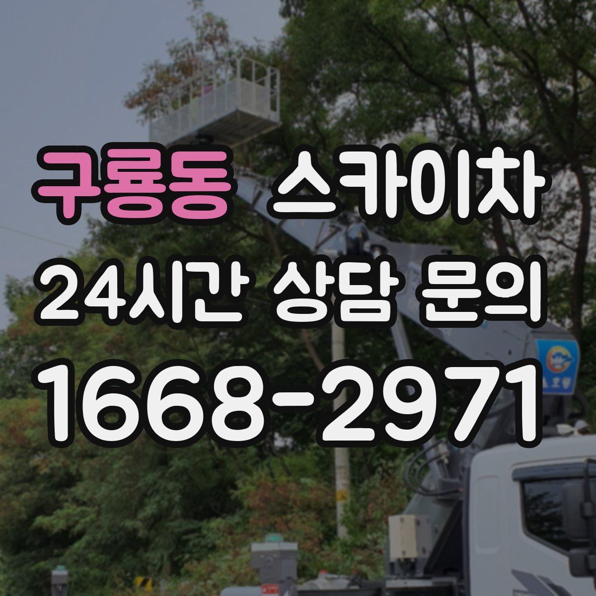 구룡동 스카이차