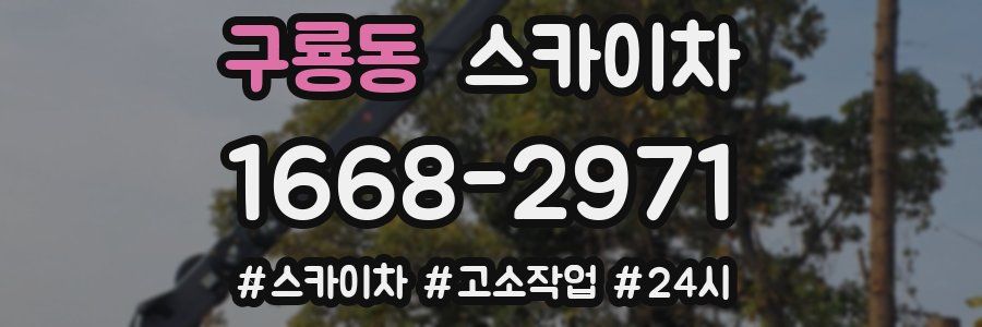구룡동 스카이차