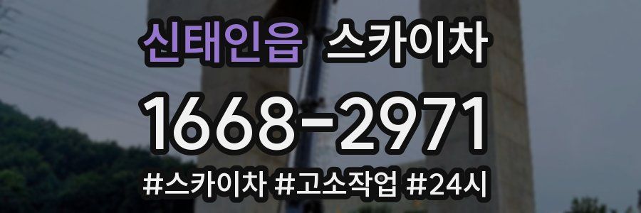 신태인읍 스카이차