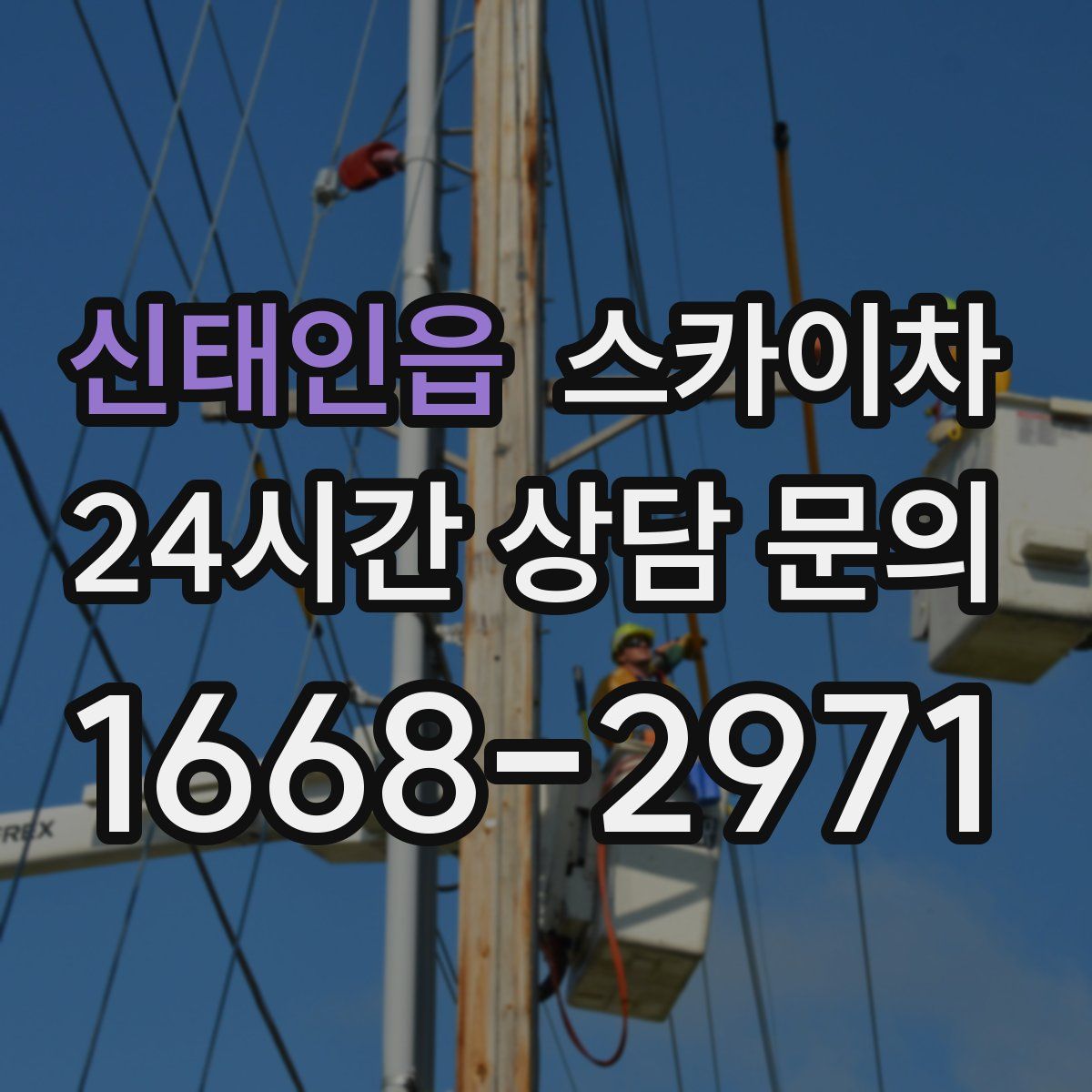 신태인읍 스카이차