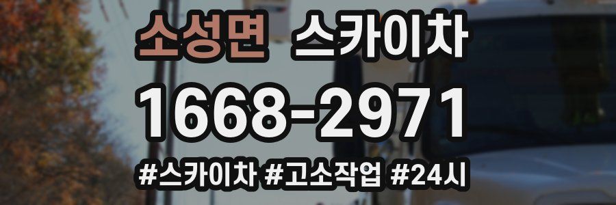 소성면 스카이차