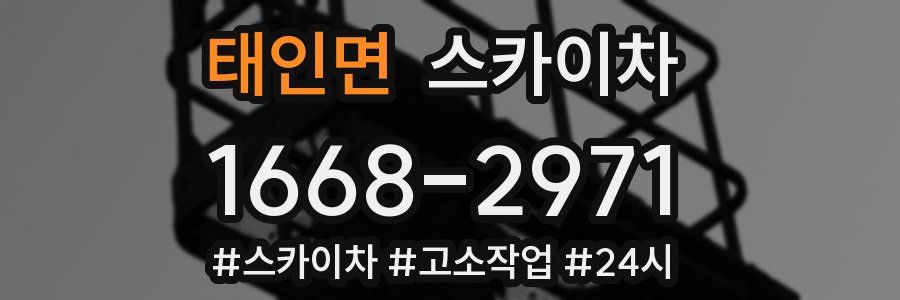 태인면 스카이차