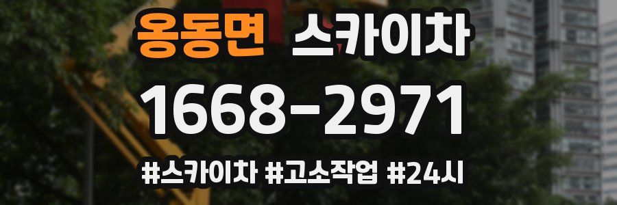 옹동면 스카이차