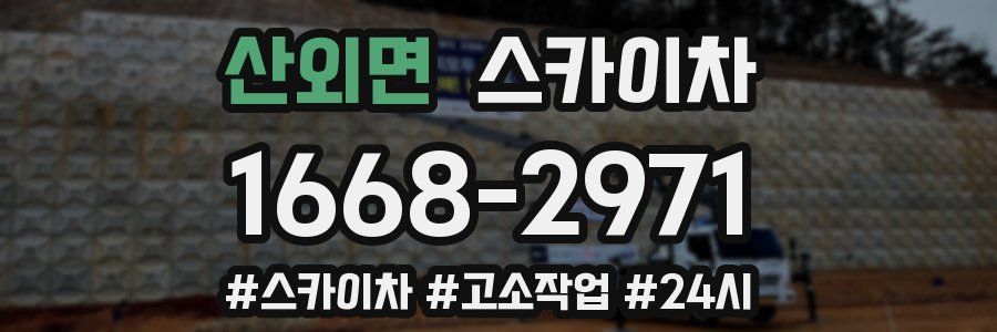 산외면 스카이차