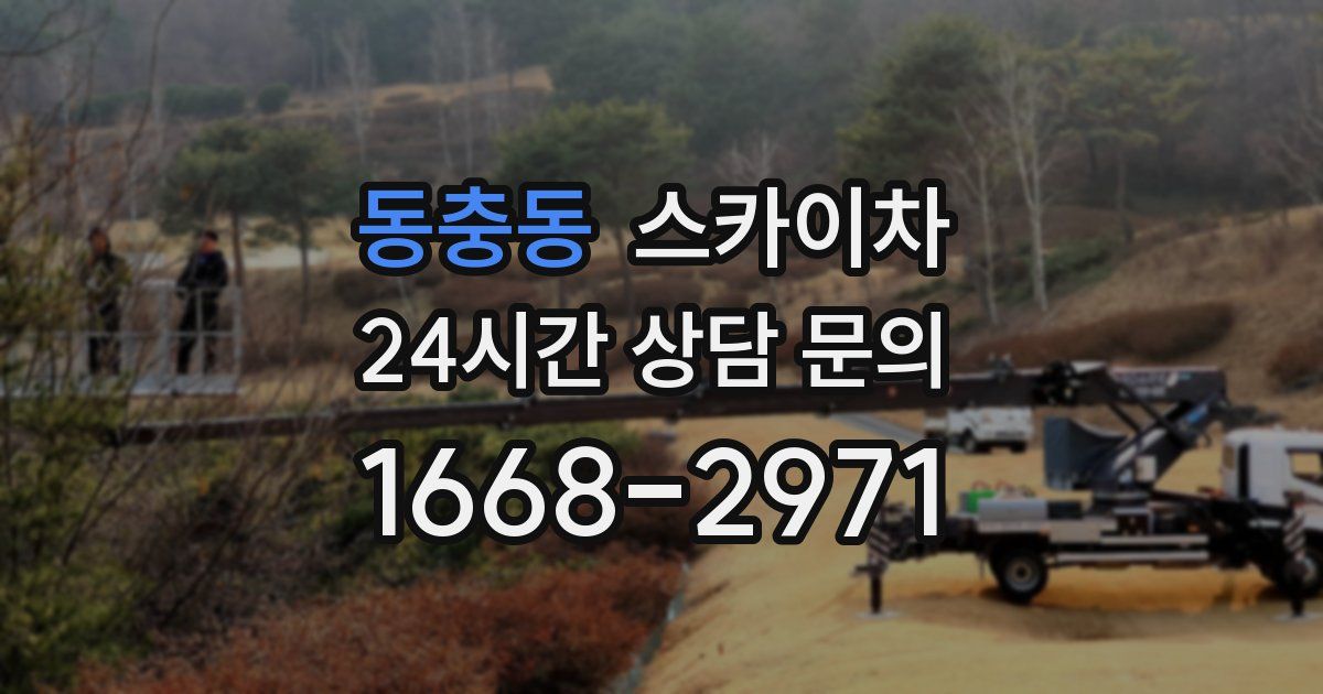 동충동 스카이차
