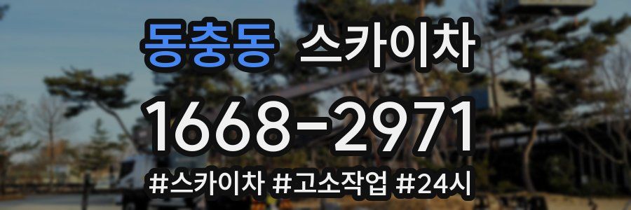 동충동 스카이차