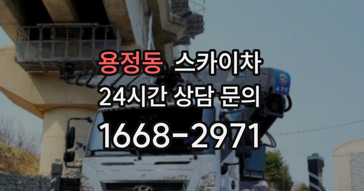 용정동 스카이차