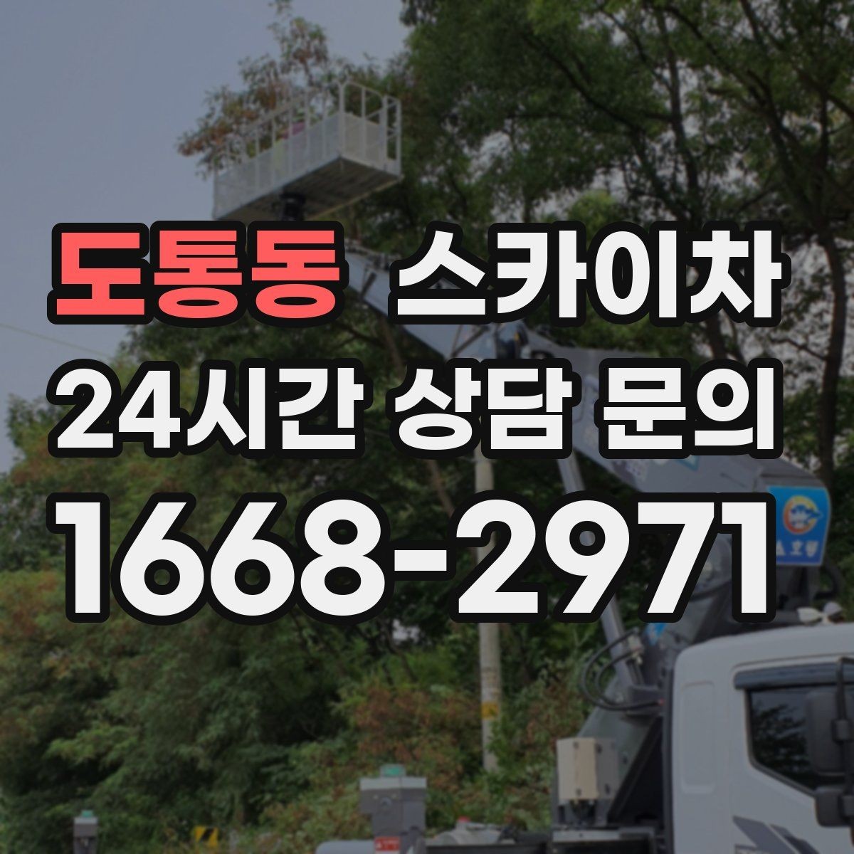 도통동 스카이차 장비 위치 선정이 작업 결과를 좌우합니다