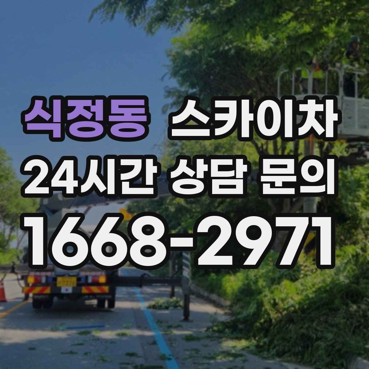 식정동 스카이차 어떤 작업에 가장 많이 쓰일까 활용 사례