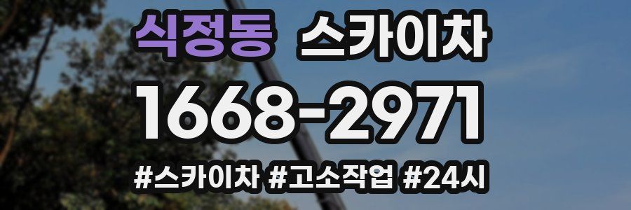 식정동 스카이차