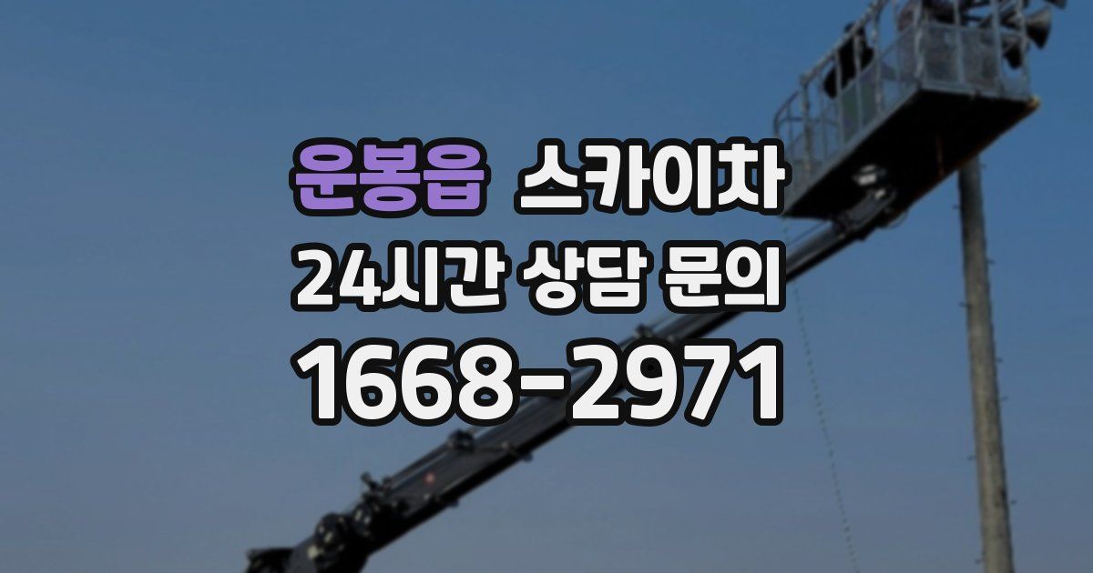 운봉읍 스카이차