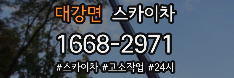 대강면 스카이차