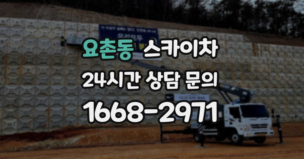 요촌동 스카이차