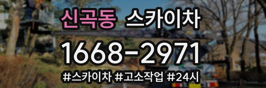 신곡동 스카이차