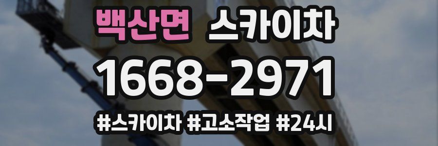 백산면 스카이차