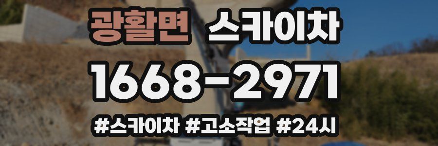 광활면 스카이차