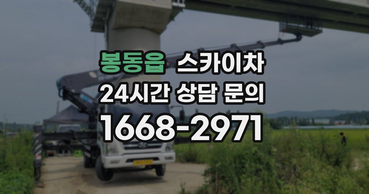 봉동읍 스카이차