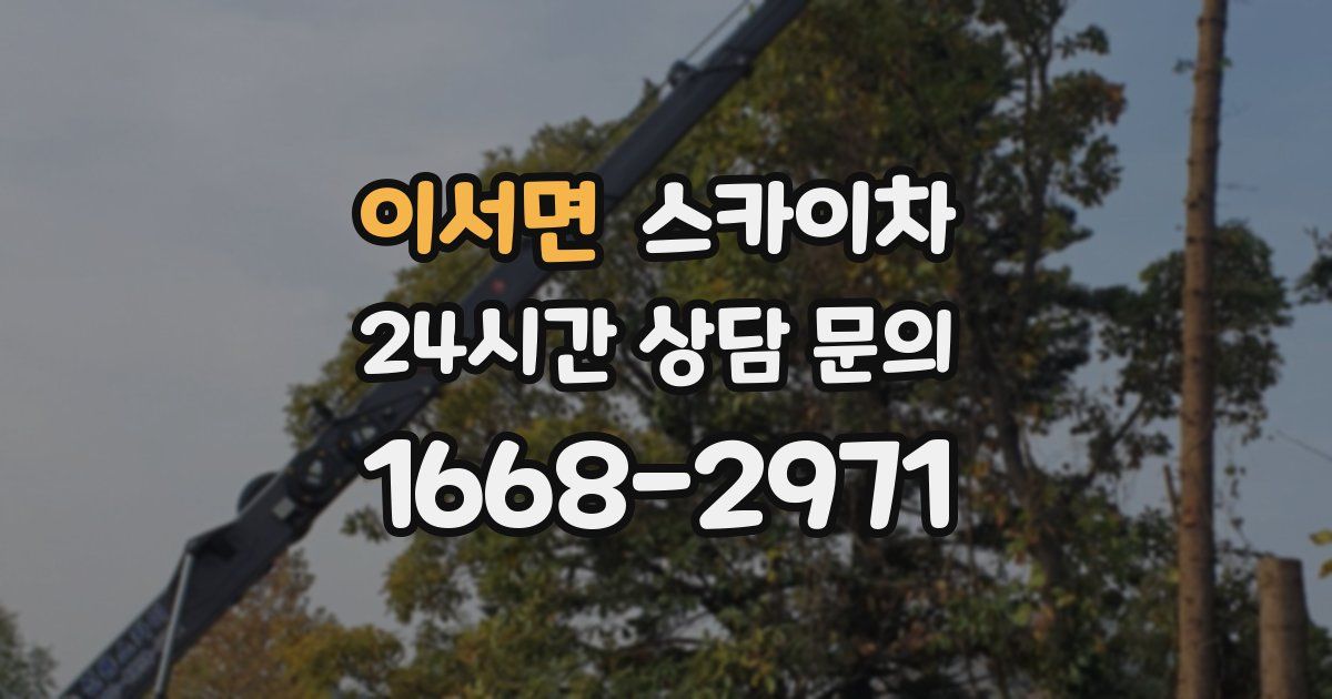 이서면 스카이차