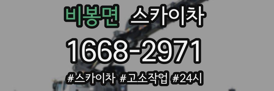 비봉면 스카이차