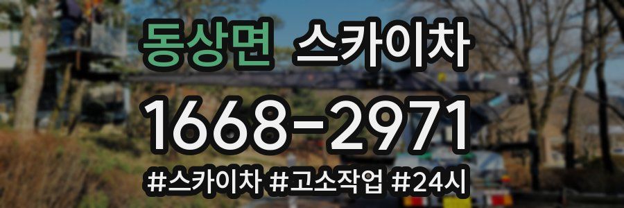 동상면 스카이차