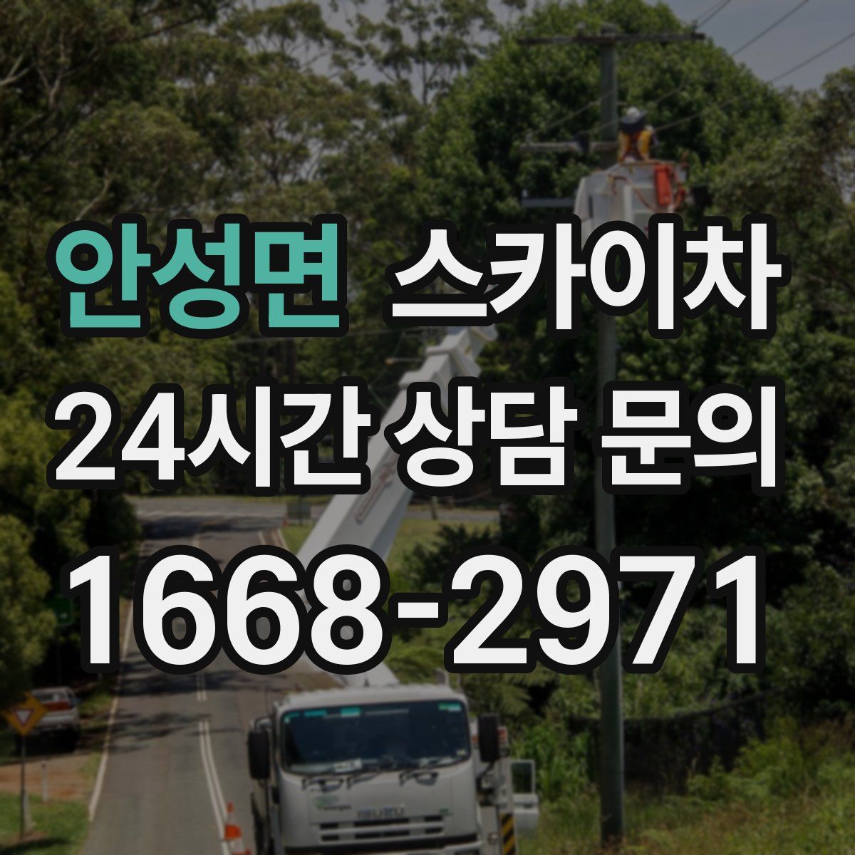 안성면 스카이차